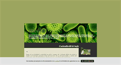 Desktop Screenshot of medbi.blogg.se