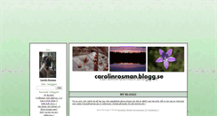Desktop Screenshot of carolinrosman.blogg.se