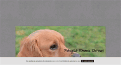 Desktop Screenshot of fotonavemma.blogg.se