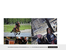 Tablet Screenshot of ourcombination.blogg.se