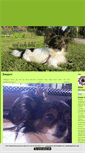 Mobile Screenshot of gizmopojken.blogg.se