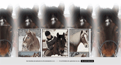 Desktop Screenshot of horsesinfocus.blogg.se