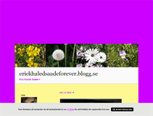 Tablet Screenshot of erickhaledsaadeforever.blogg.se