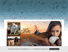 Tablet Screenshot of fotobrunetten.blogg.se