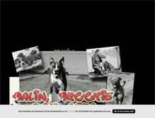 Tablet Screenshot of mucchie.blogg.se