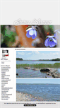 Mobile Screenshot of gronanyanser.blogg.se