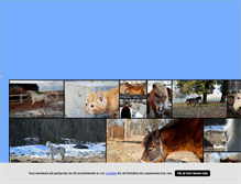 Tablet Screenshot of maddebonni.blogg.se