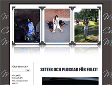 Tablet Screenshot of fflemd.blogg.se