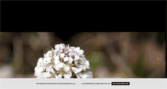Desktop Screenshot of malinwilensjo.blogg.se