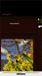 Mobile Screenshot of photogeek.blogg.se