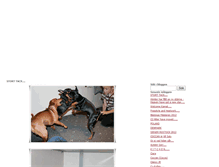 Tablet Screenshot of camalis.blogg.se