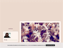 Tablet Screenshot of mattinas.blogg.se