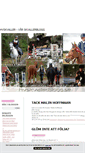 Mobile Screenshot of hvskvaller.blogg.se