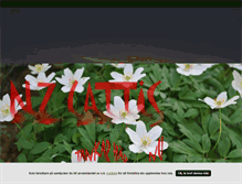 Tablet Screenshot of nzcattis.blogg.se