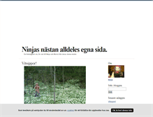 Tablet Screenshot of ninjas.blogg.se