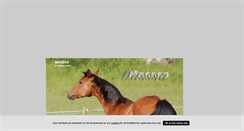 Desktop Screenshot of masssa.blogg.se
