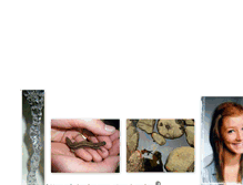 Tablet Screenshot of almanddaa.blogg.se