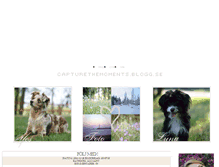 Tablet Screenshot of capturethemoments.blogg.se