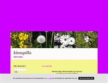 Tablet Screenshot of kinnquilla.blogg.se