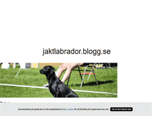 Tablet Screenshot of jaktlabrador.blogg.se