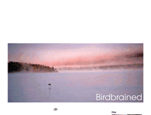 Tablet Screenshot of birdbrained.blogg.se