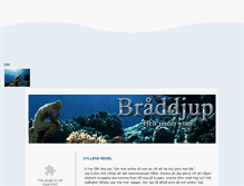 Tablet Screenshot of braddjup.blogg.se