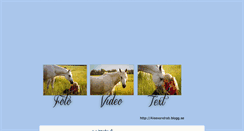 Desktop Screenshot of aleexandrab.blogg.se