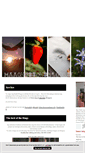 Mobile Screenshot of maagnussons.blogg.se