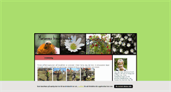 Desktop Screenshot of heliconia.blogg.se