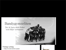 Tablet Screenshot of bgymseliten.blogg.se