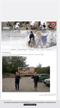 Mobile Screenshot of ofcridning.blogg.se