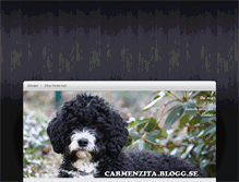 Tablet Screenshot of carmenzita.blogg.se