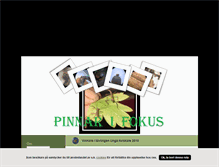 Tablet Screenshot of pinnarifokus.blogg.se