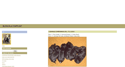 Desktop Screenshot of coatfloat.blogg.se