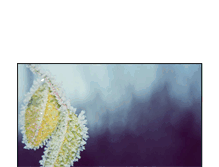Tablet Screenshot of anotherjennifer.blogg.se