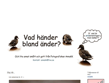 Tablet Screenshot of handerblandander.blogg.se