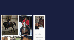 Desktop Screenshot of carrolundins.blogg.se