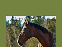 Tablet Screenshot of dressyrponnie.blogg.se