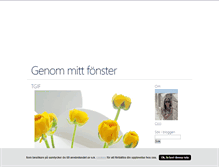 Tablet Screenshot of mittfonster.blogg.se