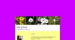 Desktop Screenshot of nunnsan.blogg.se