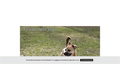 Desktop Screenshot of lifewithtexas.blogg.se