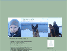 Tablet Screenshot of livetarvackert.blogg.se