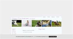 Desktop Screenshot of fridabennerman.blogg.se