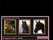 Tablet Screenshot of dressageforyou.blogg.se