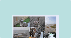 Desktop Screenshot of crazycatprincess.blogg.se