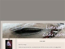 Tablet Screenshot of doleron.blogg.se