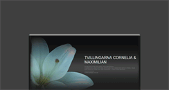 Desktop Screenshot of cormax.blogg.se