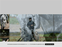 Tablet Screenshot of nymanshowhorses.blogg.se