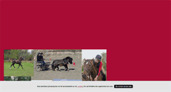 Desktop Screenshot of jennylarssonkuskochryttare.blogg.se