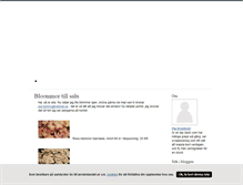 Tablet Screenshot of piakron.blogg.se